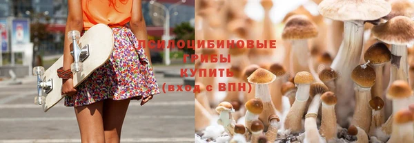 скорость Краснослободск