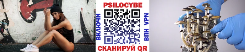 мега зеркало  Козловка  Галлюциногенные грибы Cubensis 